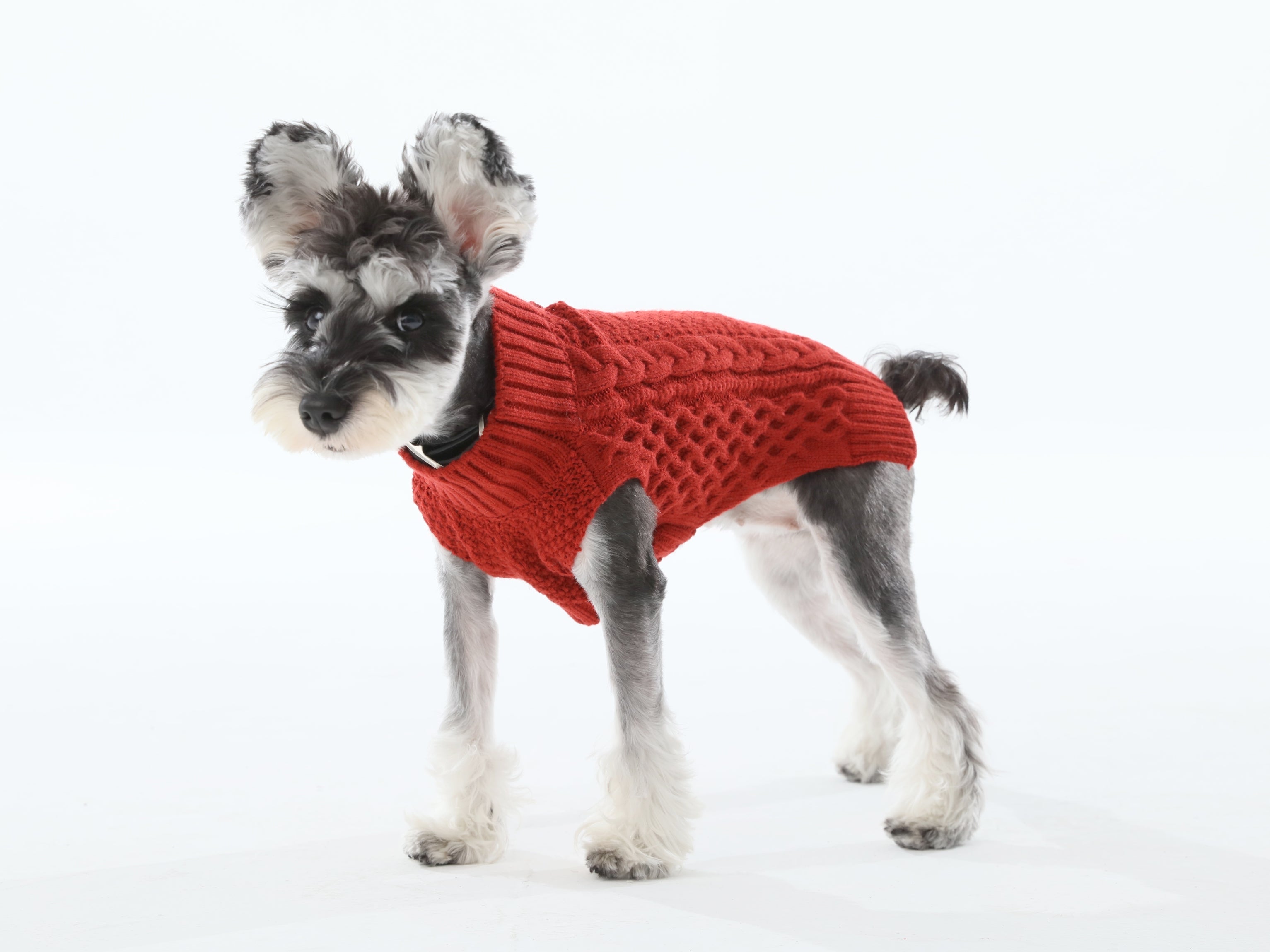 Royal Kintwear Pet Vest - Red