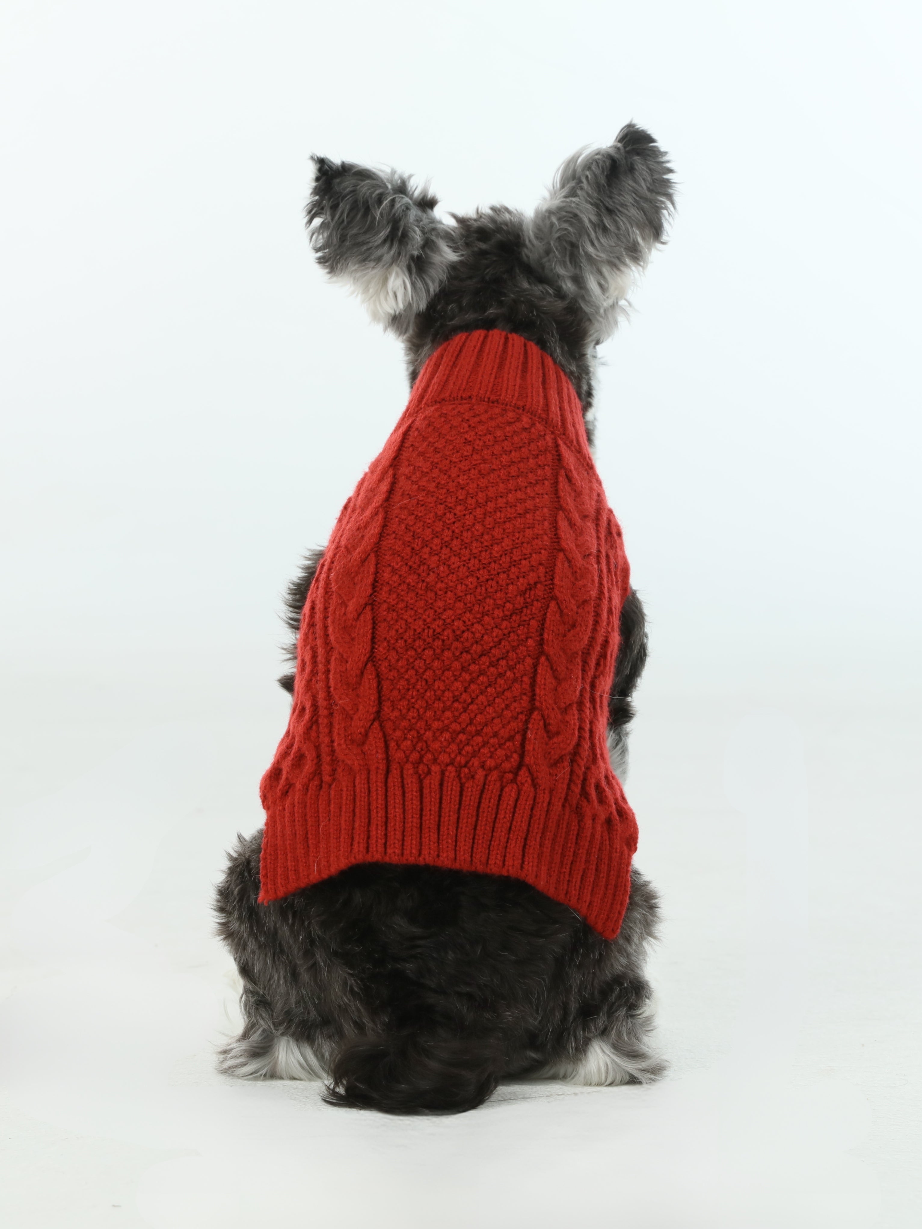 Royal Kintwear Pet Vest