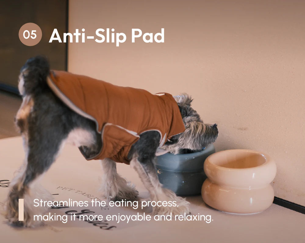 Soufflé Pet Bowl - Almond Beige