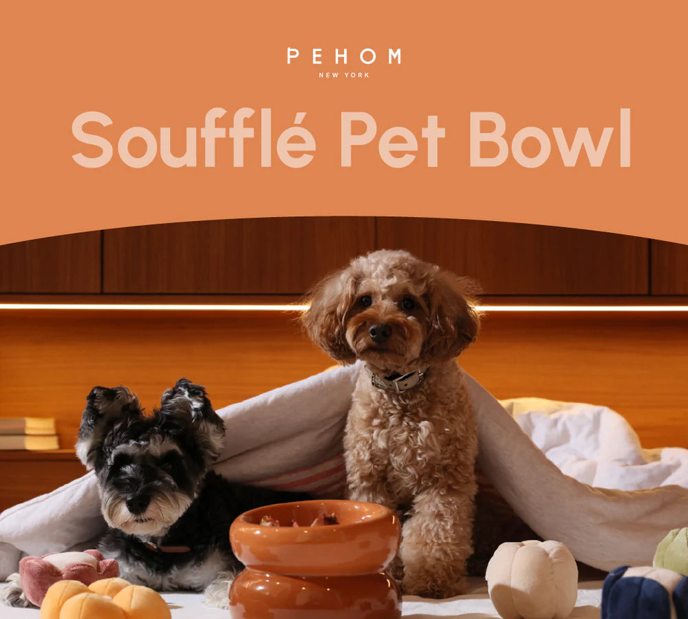 Soufflé Pet Bowl - Amber Orange