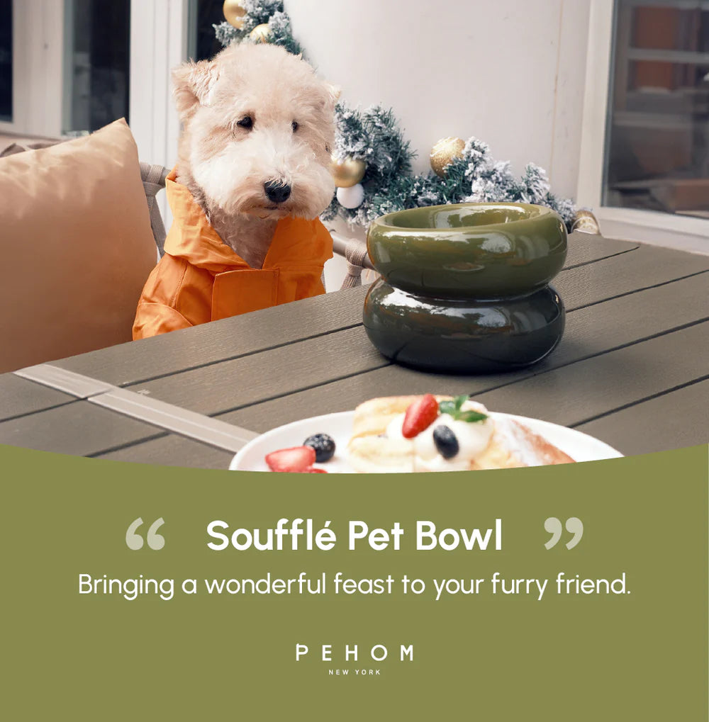 Soufflé Pet Bowl - Avocado Green