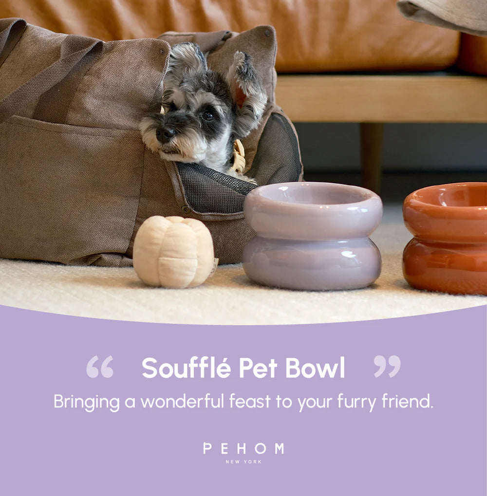 Soufflé Pet Bowl - Lavender Purple