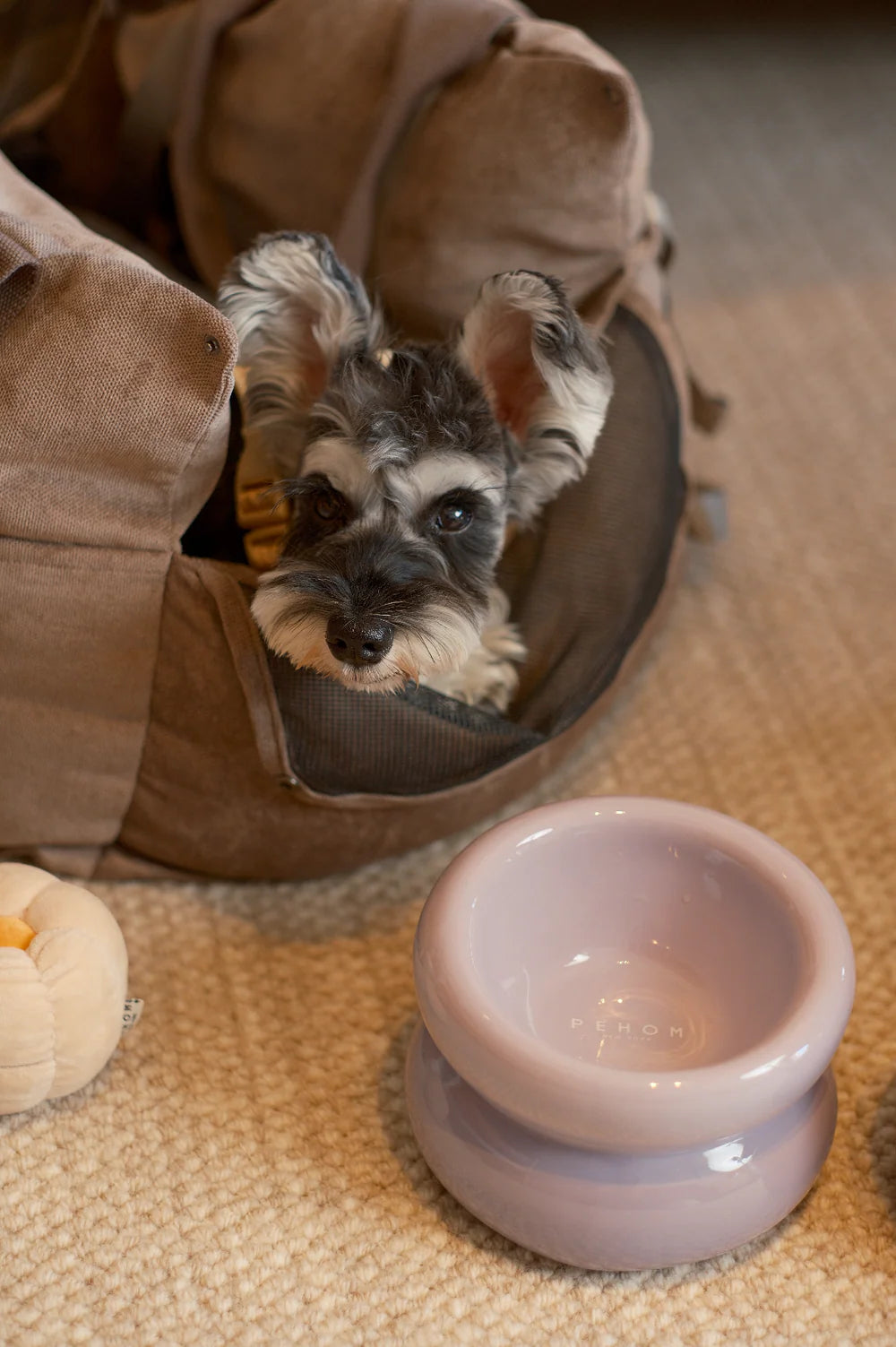 Soufflé Pet Bowl - Lavender Purple