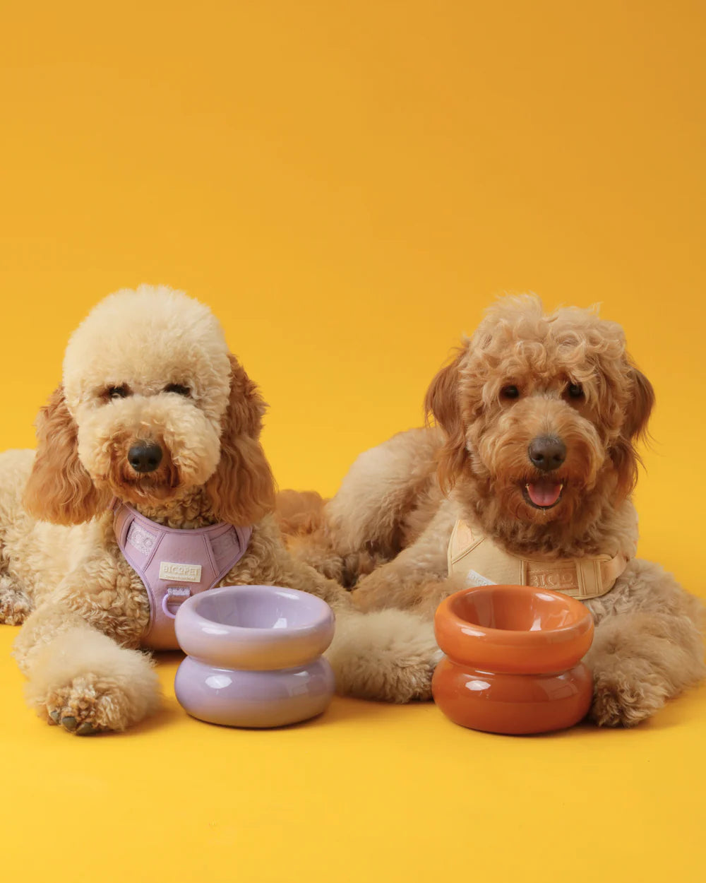 Soufflé Pet Bowl - Lavender Purple