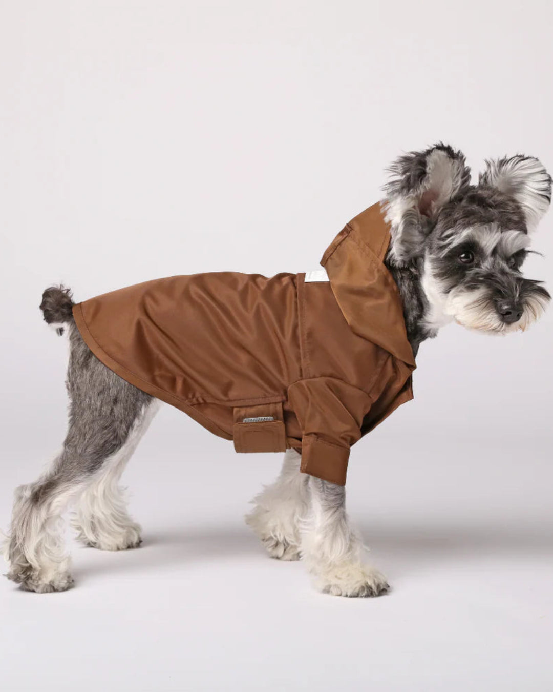 Dog wearing a brown raincoat on a white background