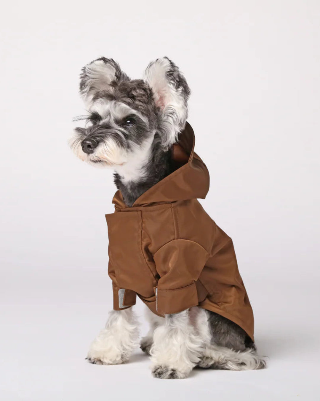 Dog wearing a brown raincoat on a white background