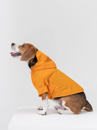 Tribeca Adjustable Velcro Raincoat - Egg Yolk