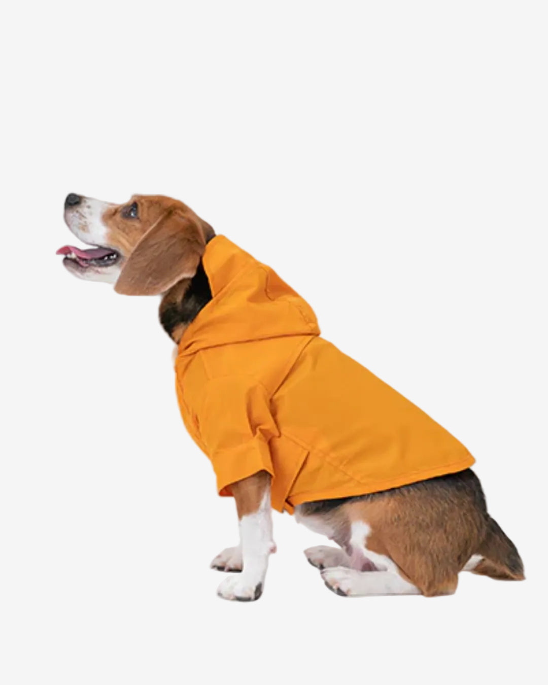 Tribeca Adjustable Velcro Raincoat - Egg Yolk