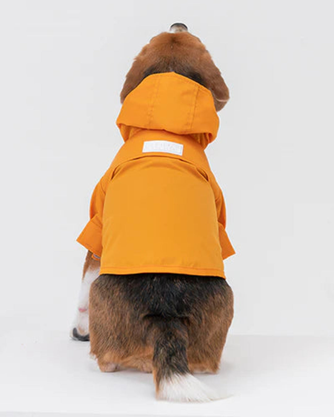 Dog wearing an orange raincoat on a white background