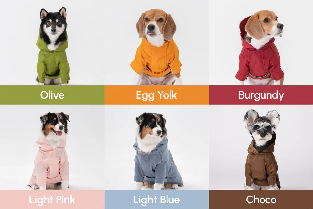 Six dogs wearing colorful sweaters with labels for color names.