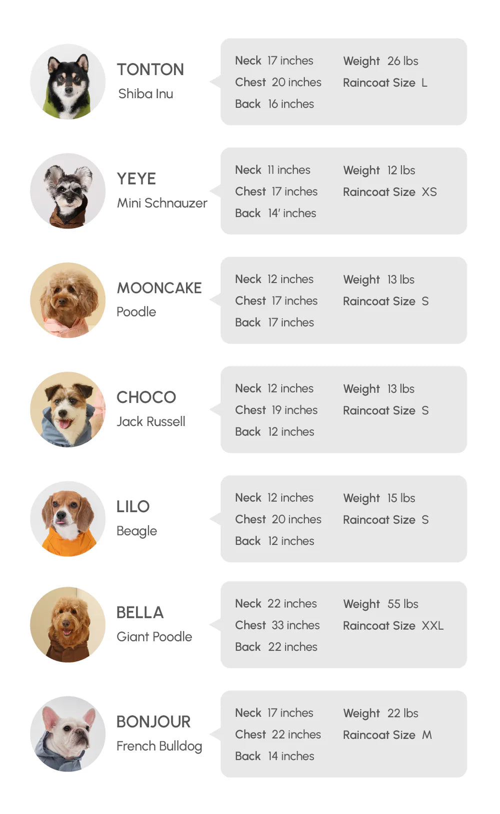 List of dog breeds with their measurements and sizes on a white background