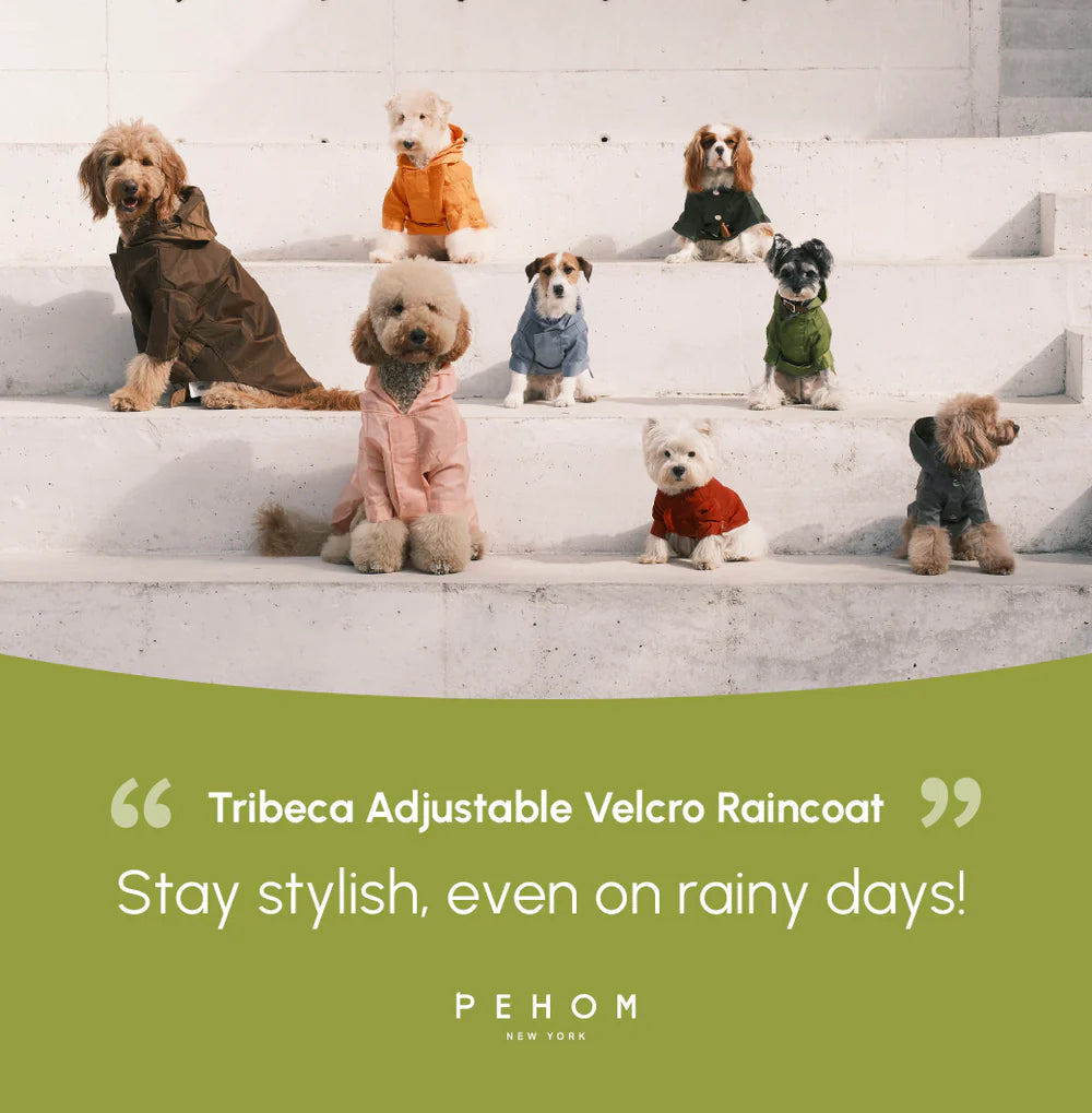 Tribeca Adjustable Velcro Raincoat - Olive