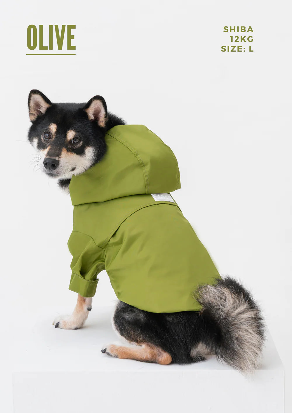 Dog wearing a green raincoat on a white background