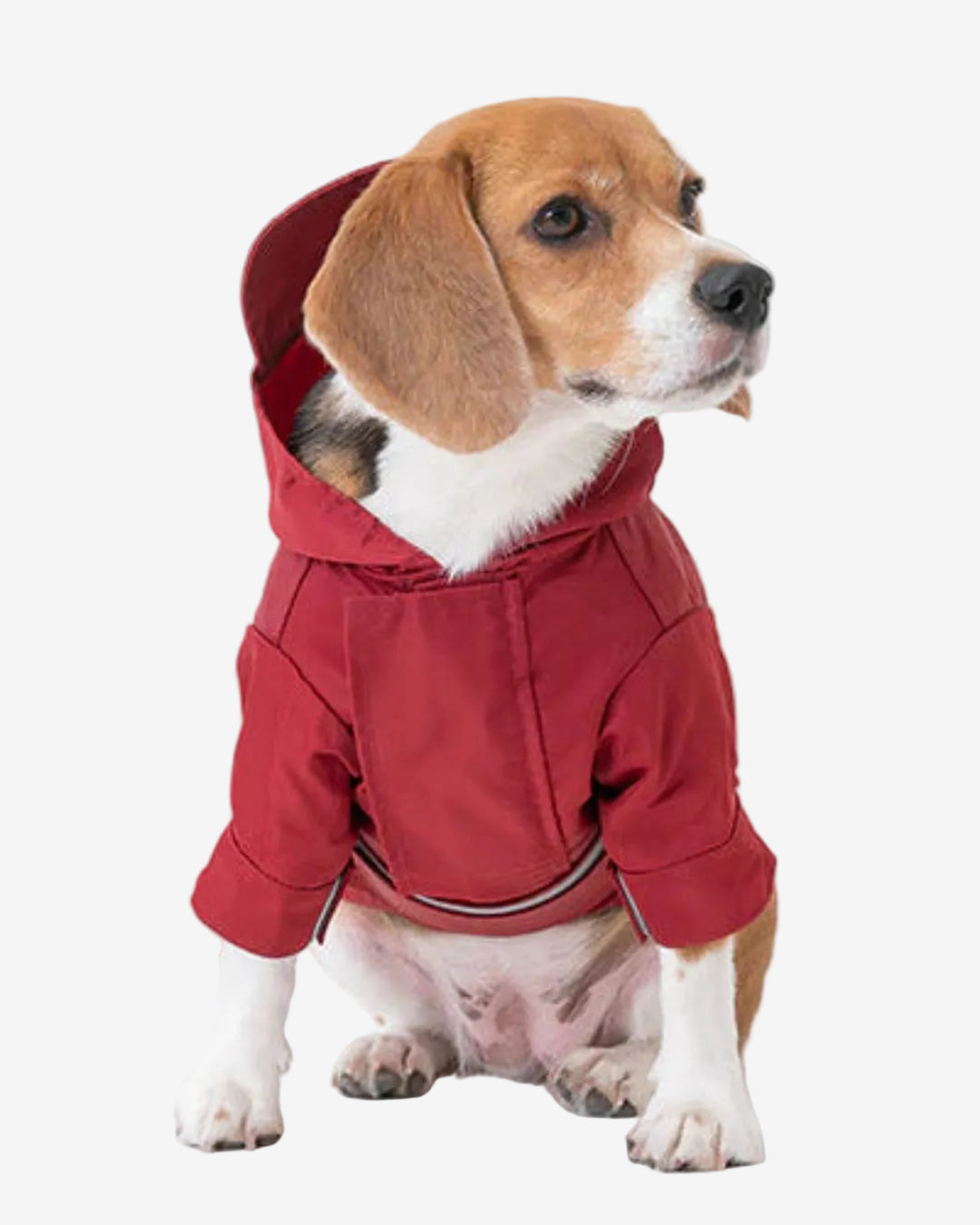 Tribeca Adjustable Velcro Raincoat - Burgundy