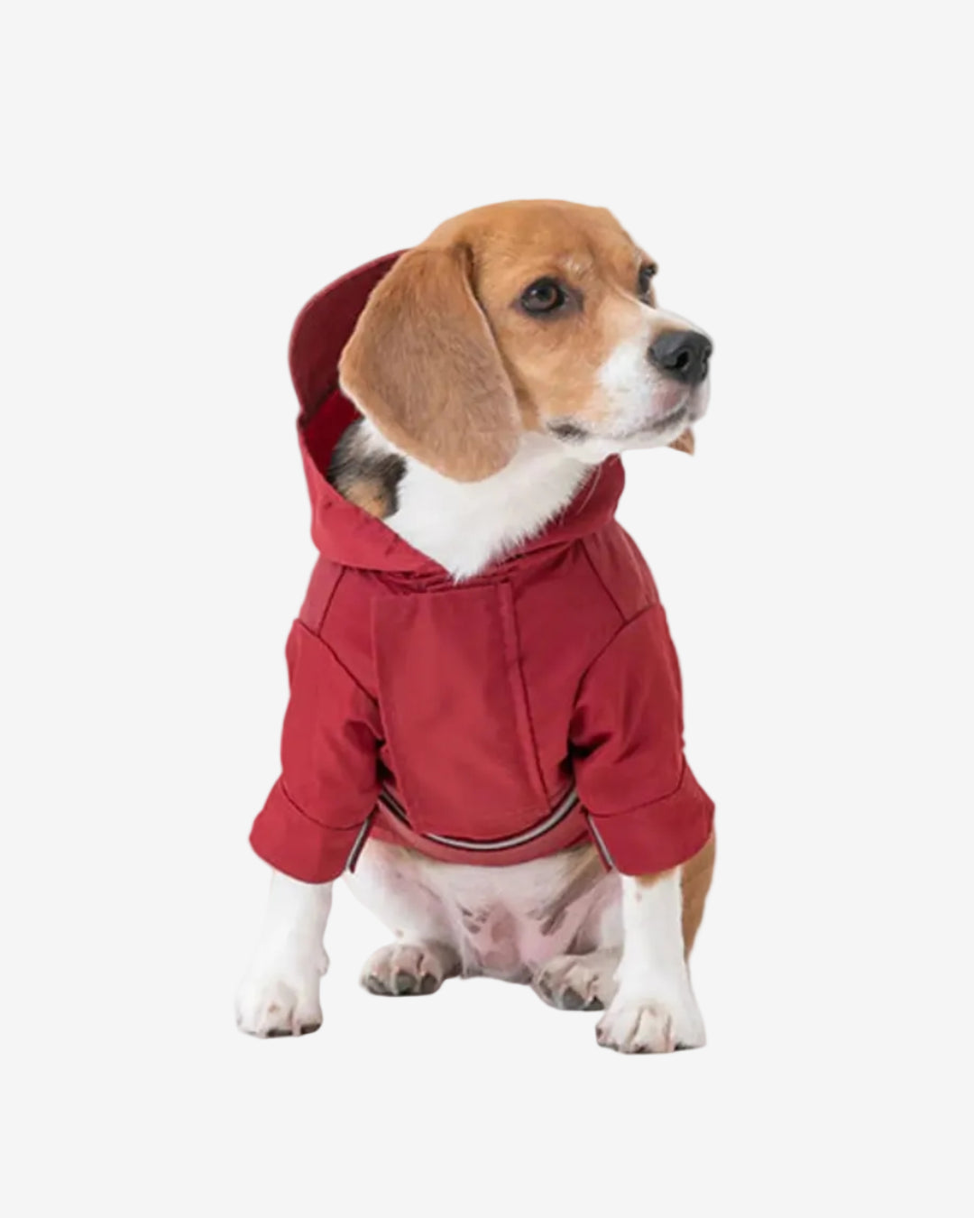 Tribeca Adjustable Velcro Raincoat - Burgundy