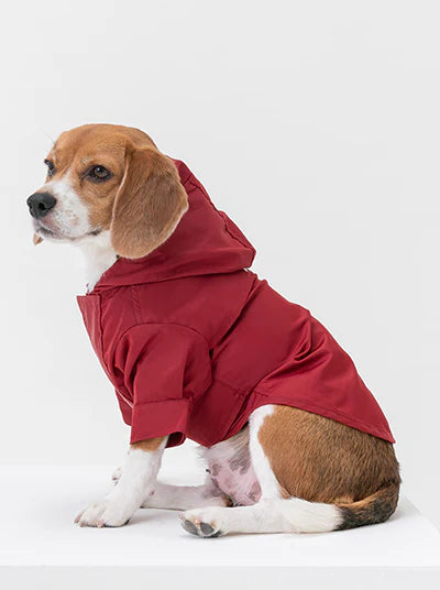 Tribeca Adjustable Velcro Raincoat - Burgundy
