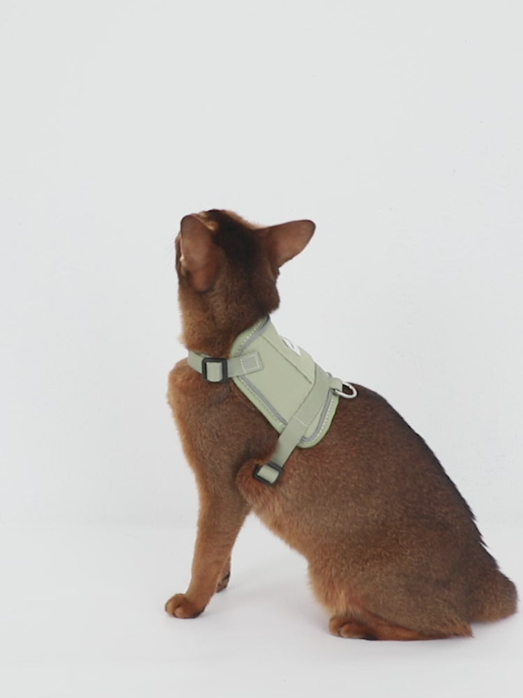 Mini Vest Cat Harness Set