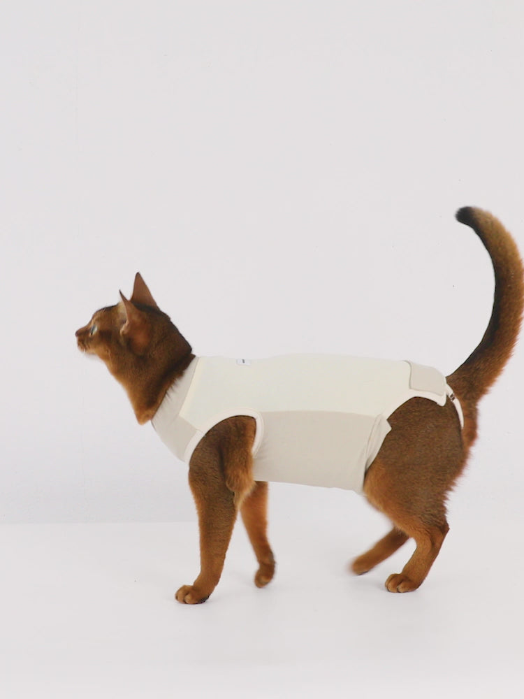 Colorblock Cat Recovery Suit