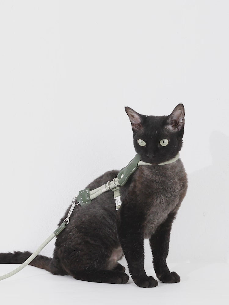 Leather Round Rope Cat Harness Set