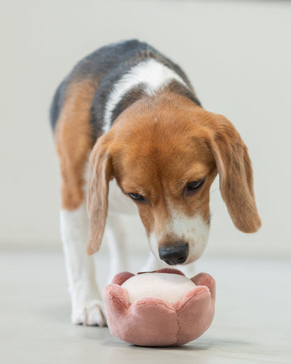 Paradise Pet Toy - Rose