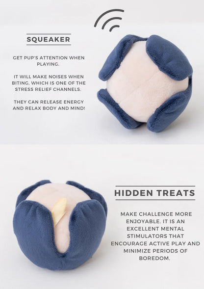 Paradise Pet Toy - Anemone