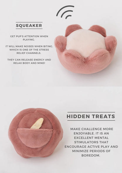 Paradise Pet Toy - Rose