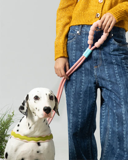 [Standard] Marshmallow Dog Leash
