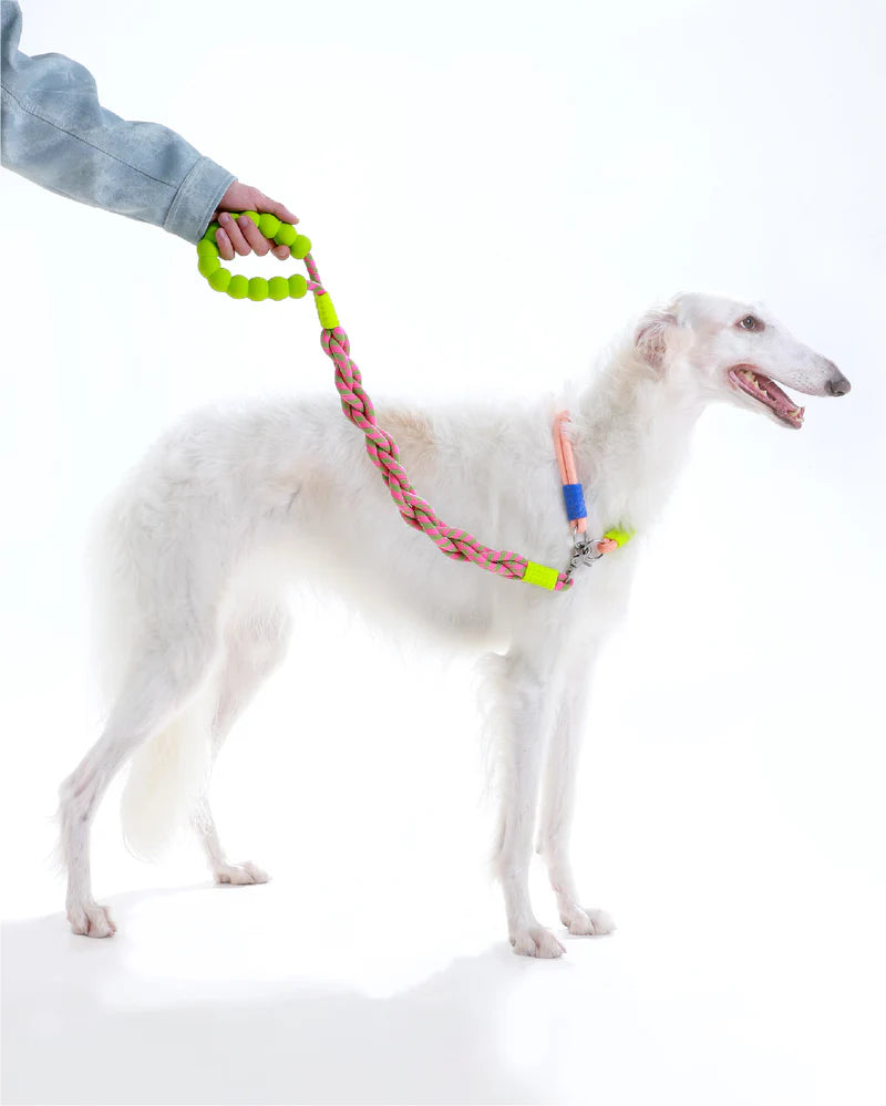 [Twisted] Marshmallow Dog Leash