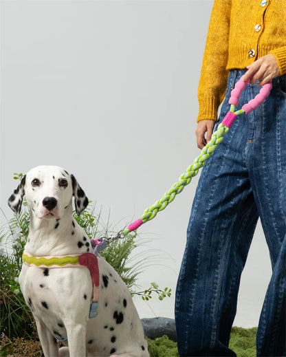 [Twisted] Marshmallow Dog Leash