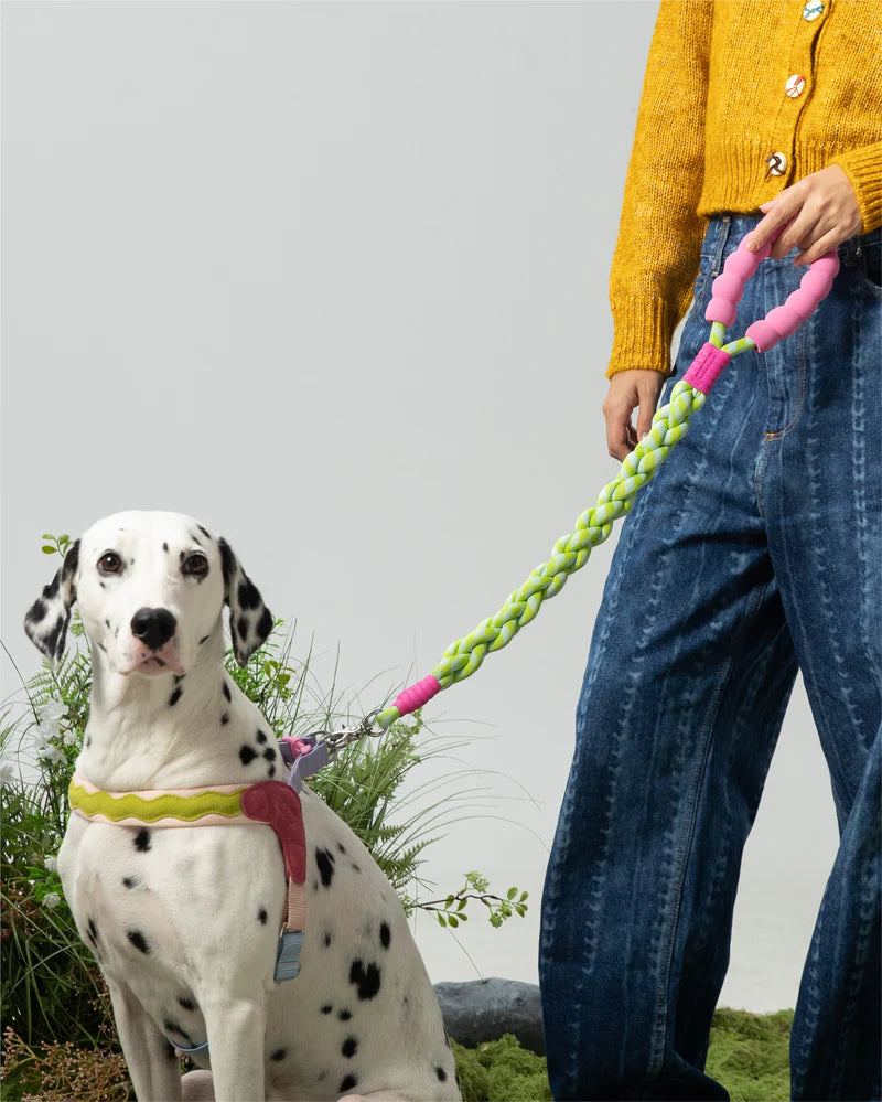 [Twisted] Marshmallow Dog Leash