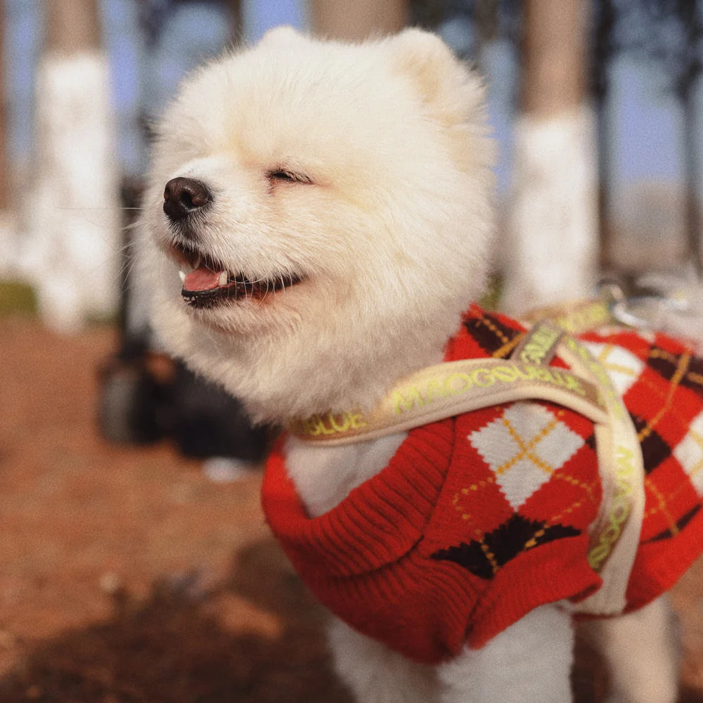 Neon Park Pet Chest Strap