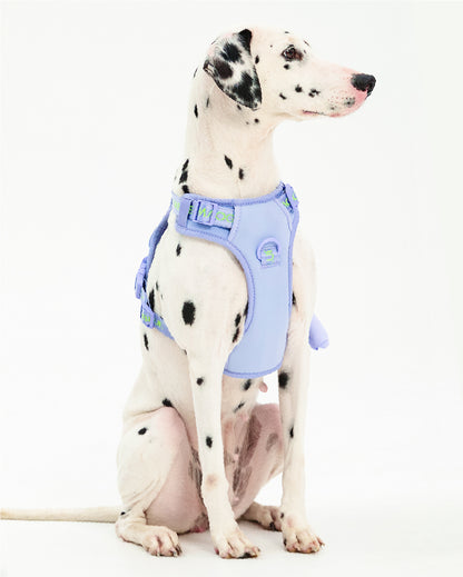Central Park Dog Harness
