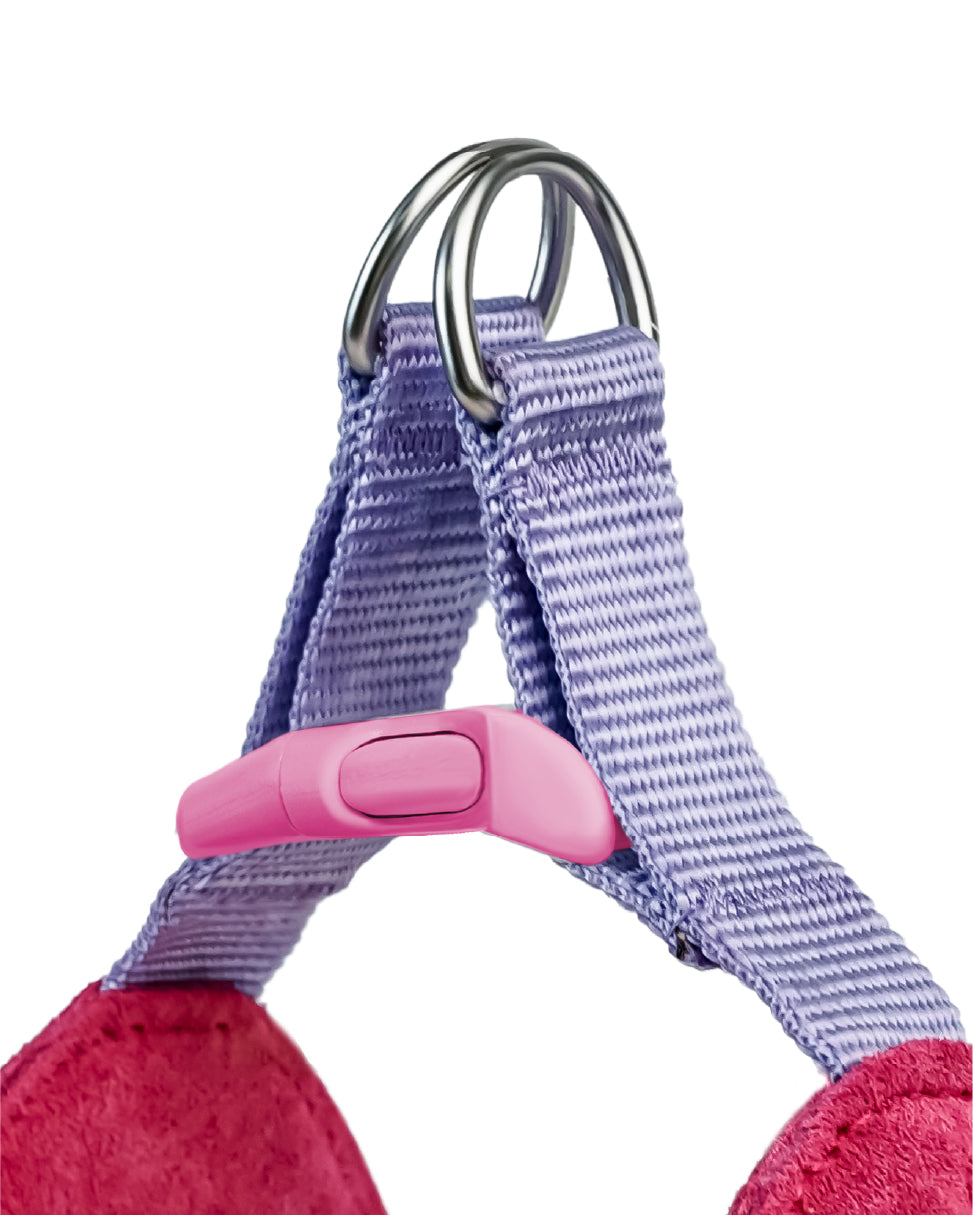 Island V Shaped Dog Harness