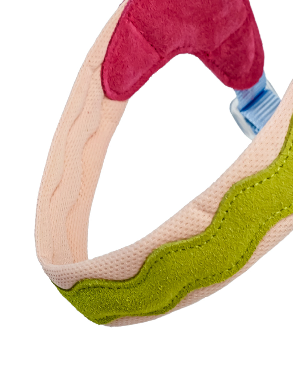 Island V Shaped Dog Harness
