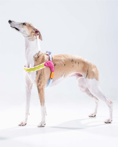 Island V Shaped Dog Harness