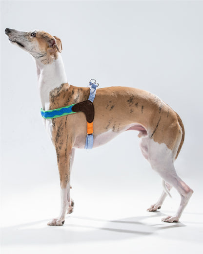 Island V Shaped Dog Harness