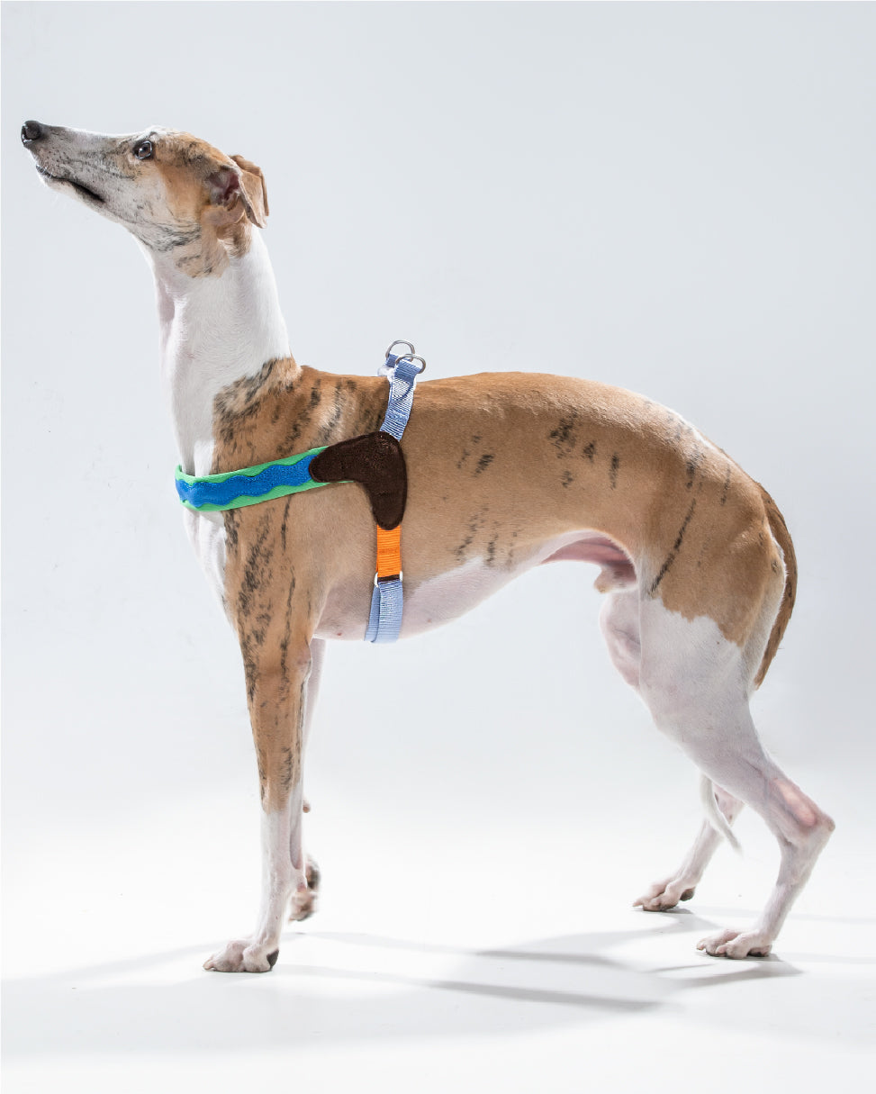 Island V Shaped Dog Harness