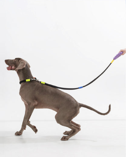 [Standard] Marshmallow Dog Leash