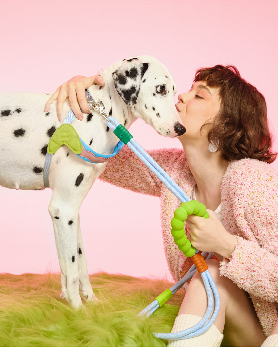 [Standard] Marshmallow Dog Leash