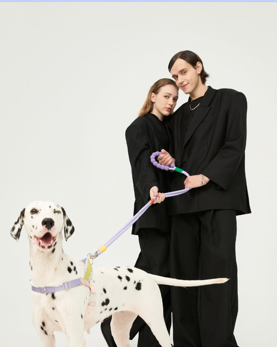 [Standard] Marshmallow Dog Leash