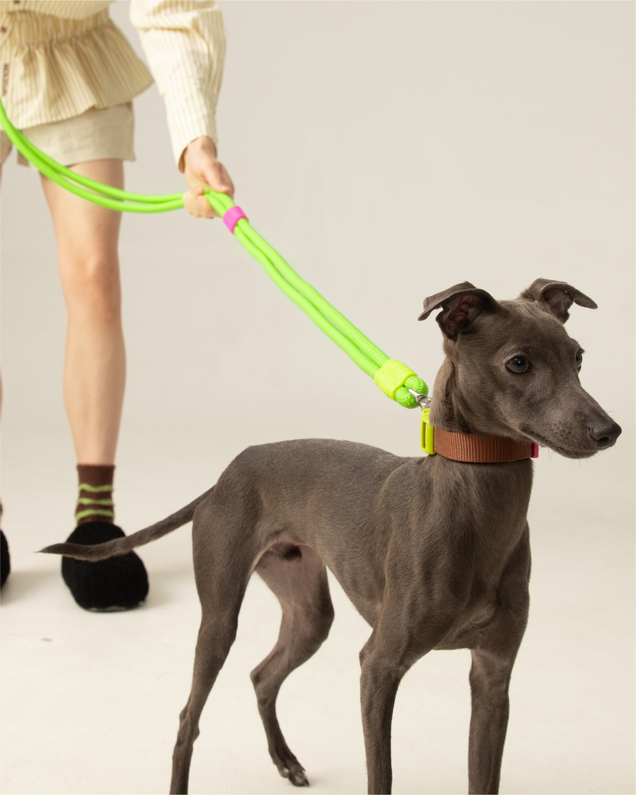 [Standard] Marshmallow Dog Leash