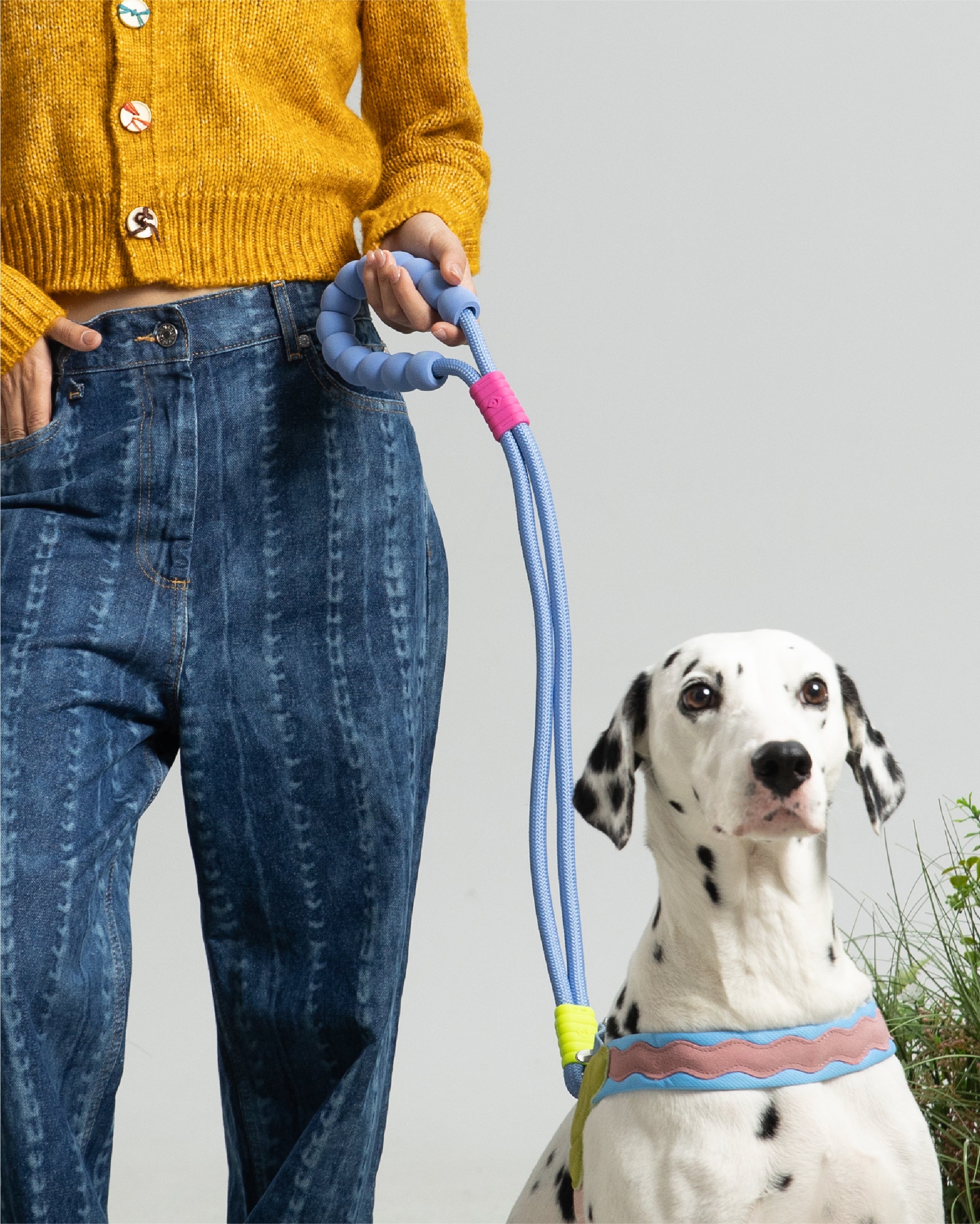 [Standard] Marshmallow Dog Leash