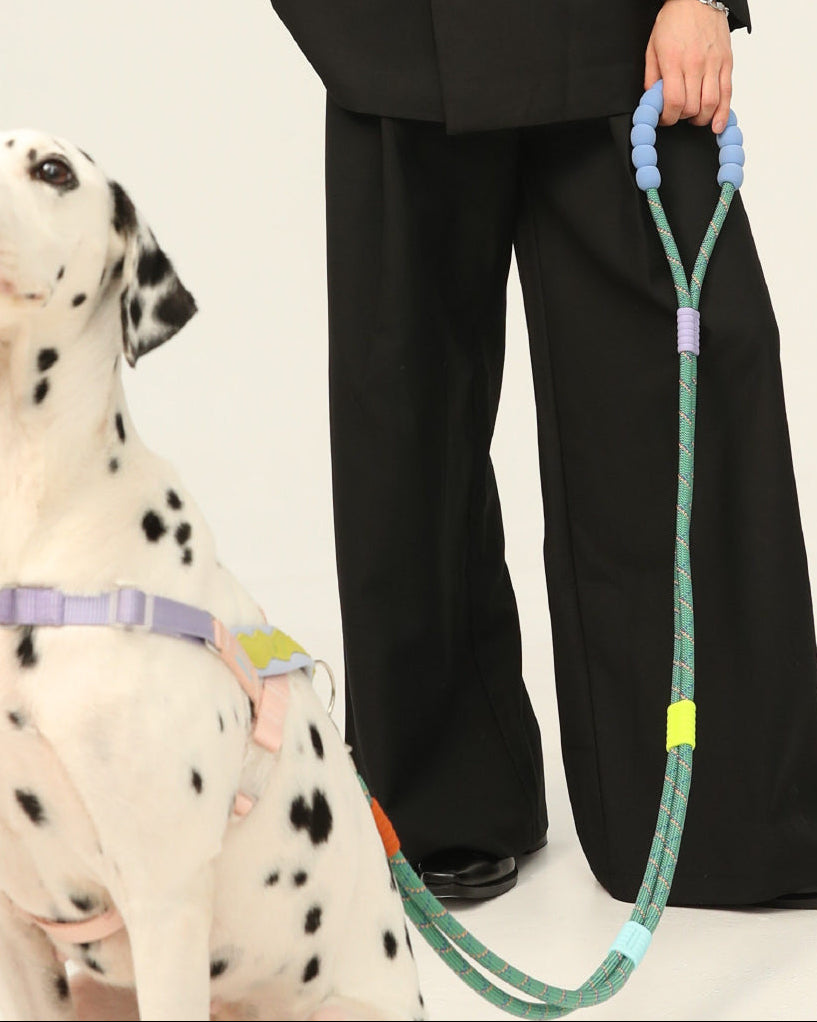 #color_chartreuse-green