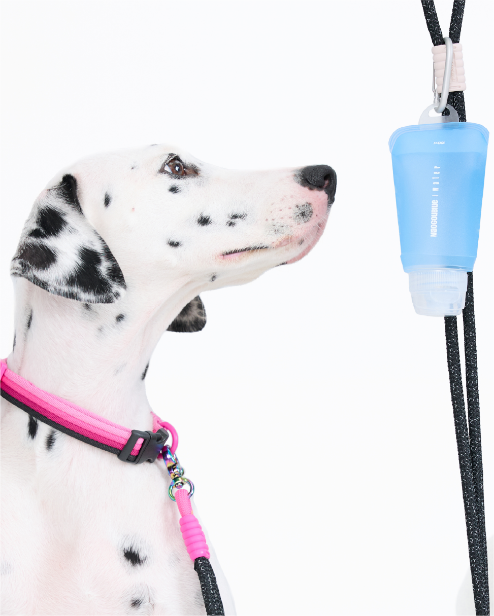 Protable Kettle. Glacier Water