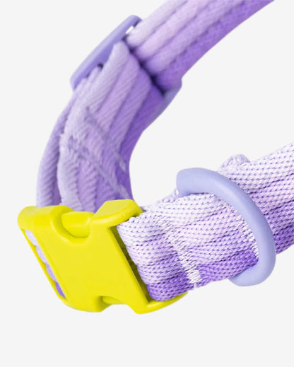 Marshmallow Dog Collar