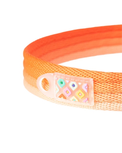 Marshmallow Dog Collar