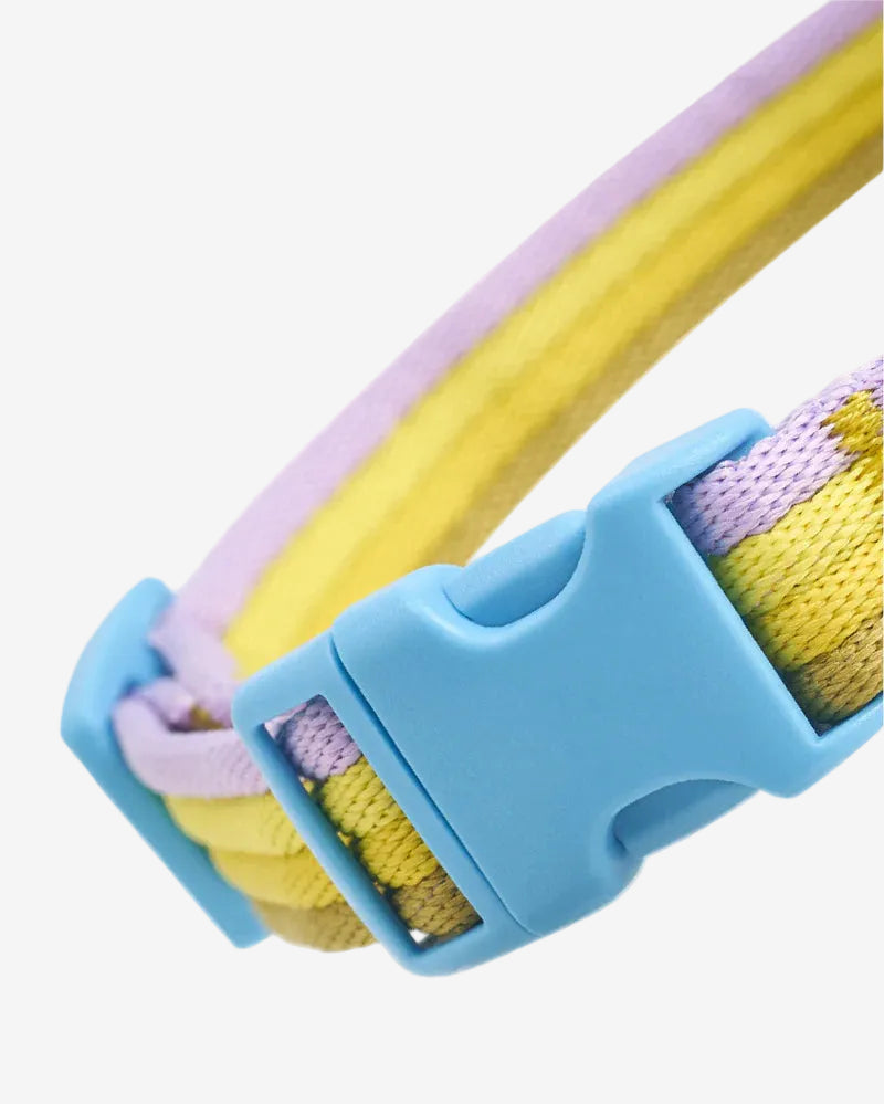 Marshmallow Dog Collar