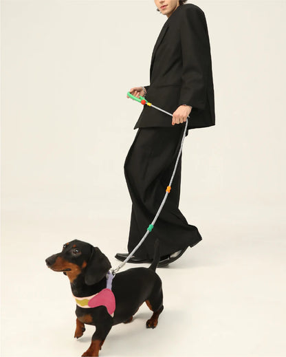Souffle Multi-way Dog Slip Leash