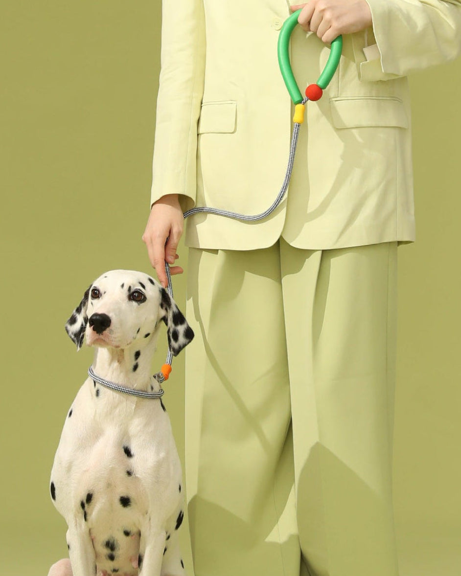Person in a light green suit holding a Dalmatian dog on a leash against a solid background#color_verdejo-oreo