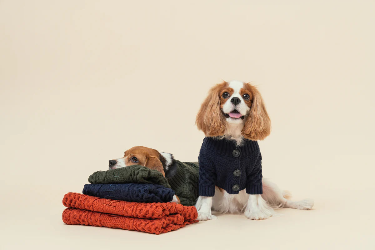 Bert Cardigan Pet Sweater
